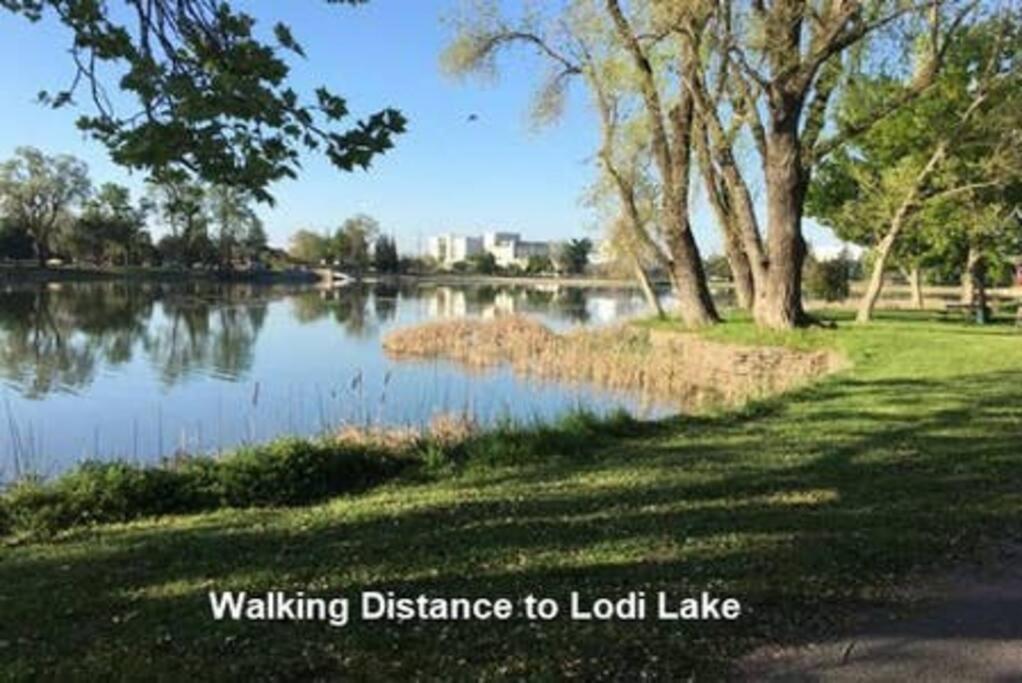 Robert St Cottage, Near Lodi Lake ภายนอก รูปภาพ